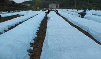 Agricultural use non-woven fabric